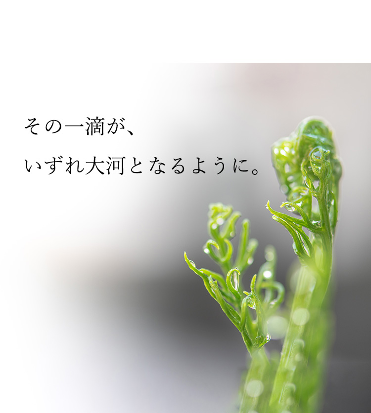 その一滴が、いずれ大河となるように。