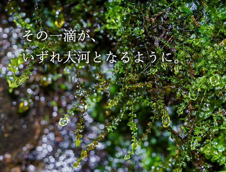 その一滴が、いずれ大河となるように。